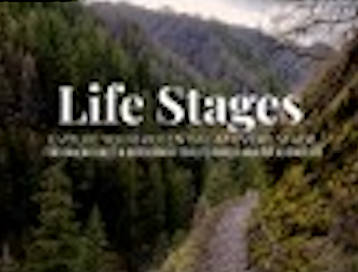 LifeStages Logo